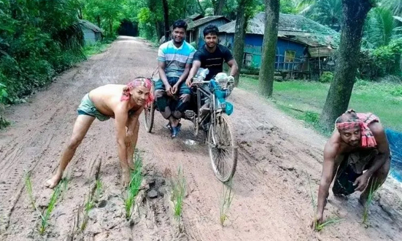 সড়ক সংস্কারের দাবিতে, সড়কে ধান রোপণ করে প্রতিবাদ